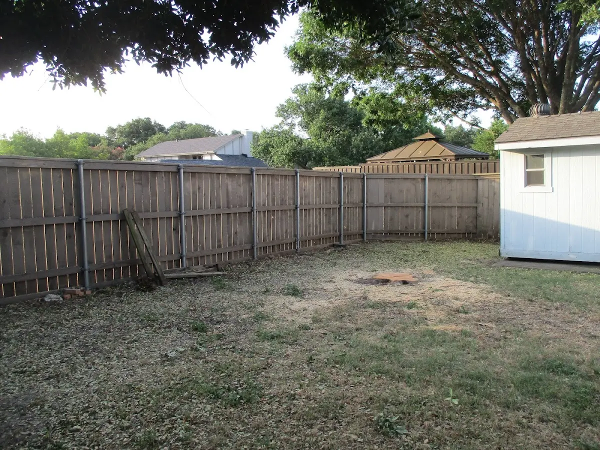 Cleared yard after professional tree removal in Knowlesville
