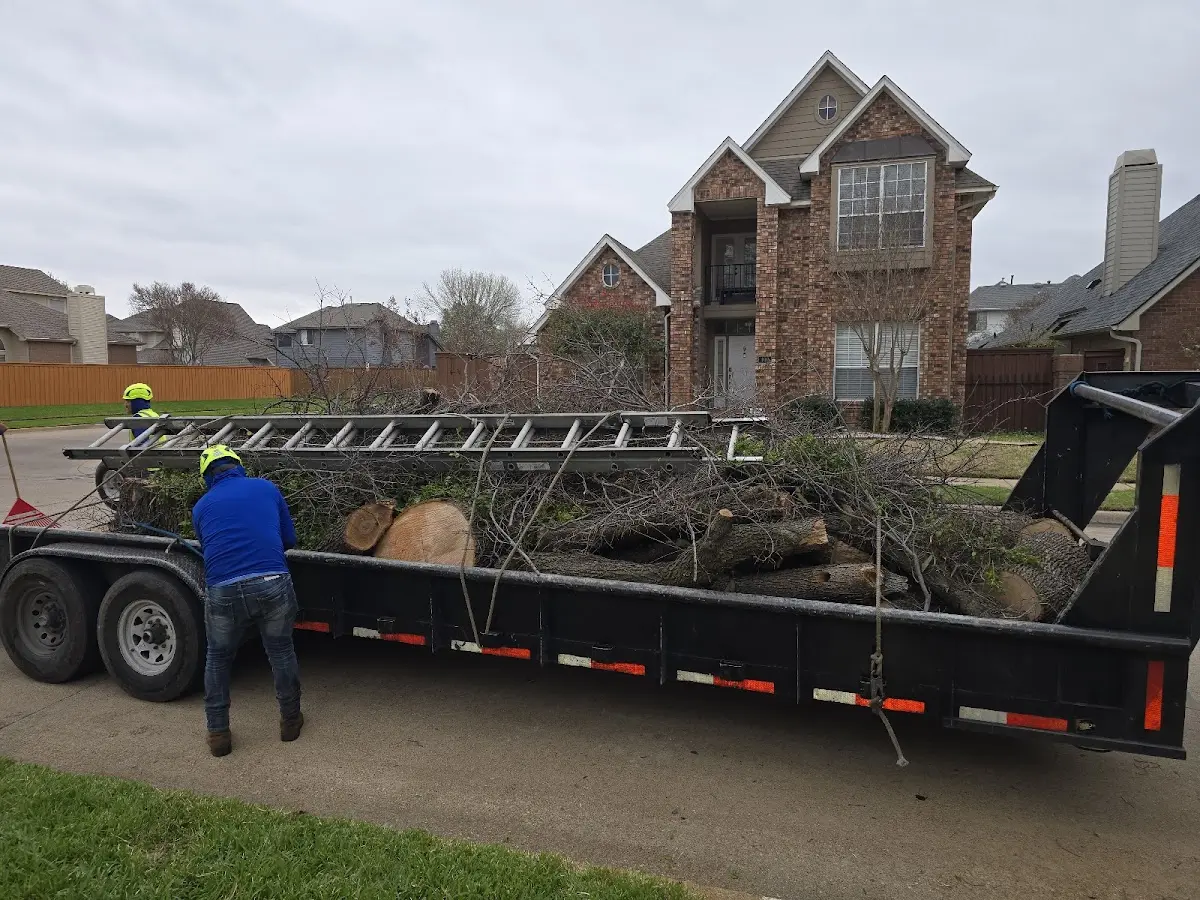 Expert Tree Pest Control with proper safety equipment in Knowlesville